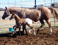 JR at 9 days old